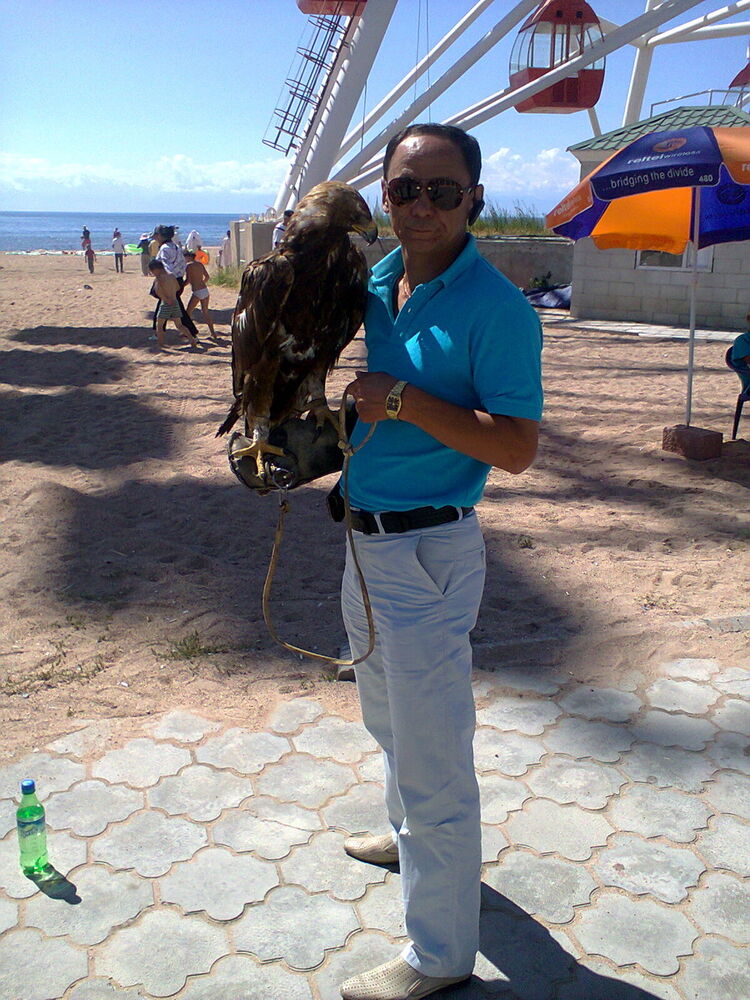  ,   , 59 ,   