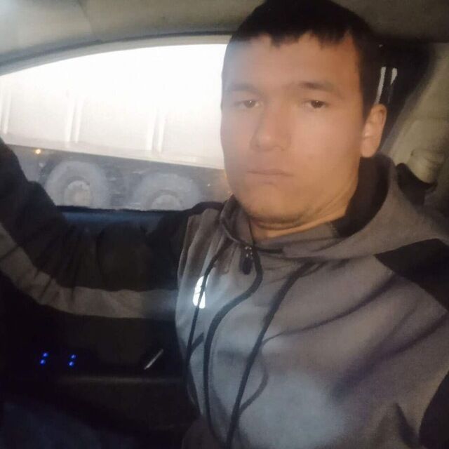  44541929  , 24 ,    