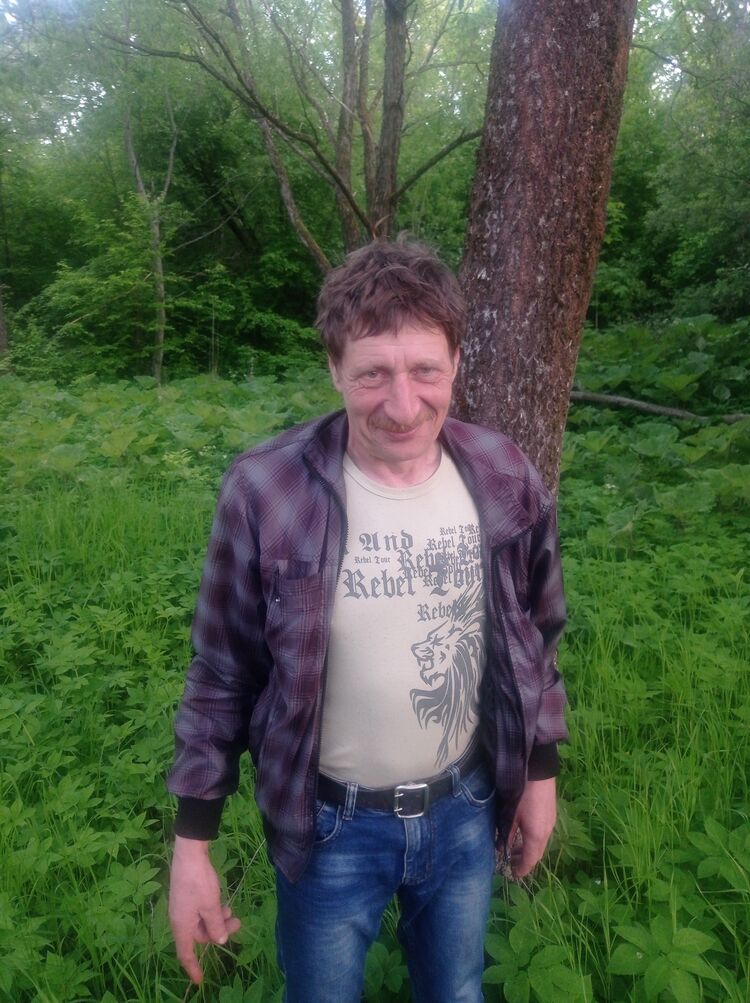  40411699  , 55 ,    -