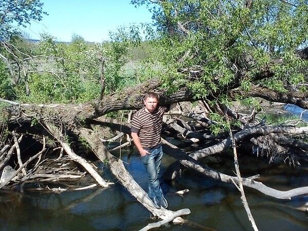 ���������� ��������, ���� ������� ������, 46 ���, ������������ ��� ������, ����� � ���������, c�������� ���������