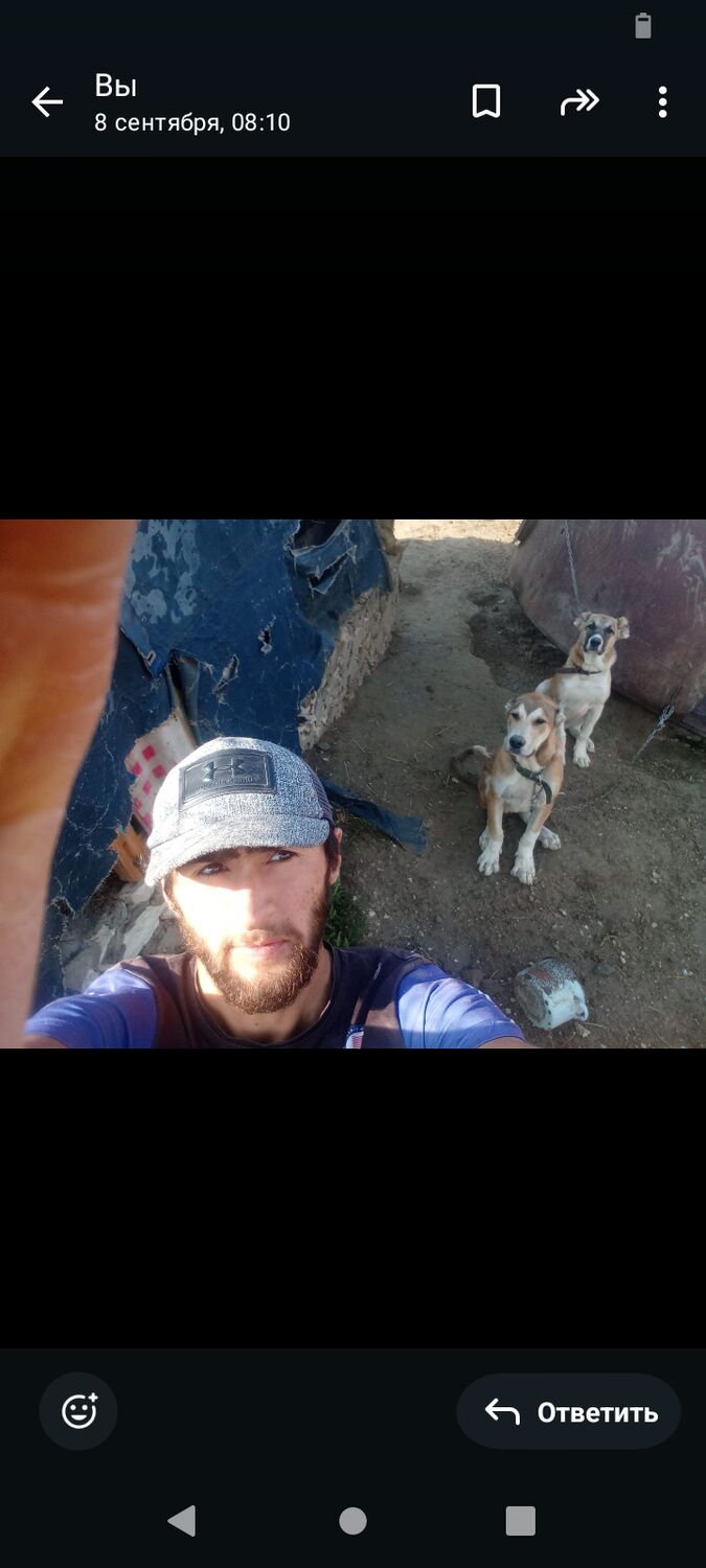  ,   Gazimagomed, 22 ,   ,   