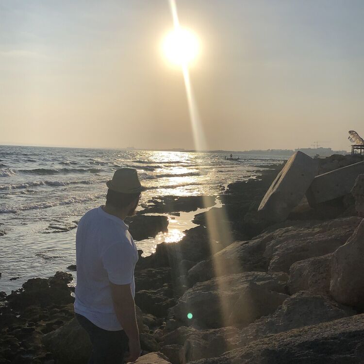  21978689  , 28 ,    