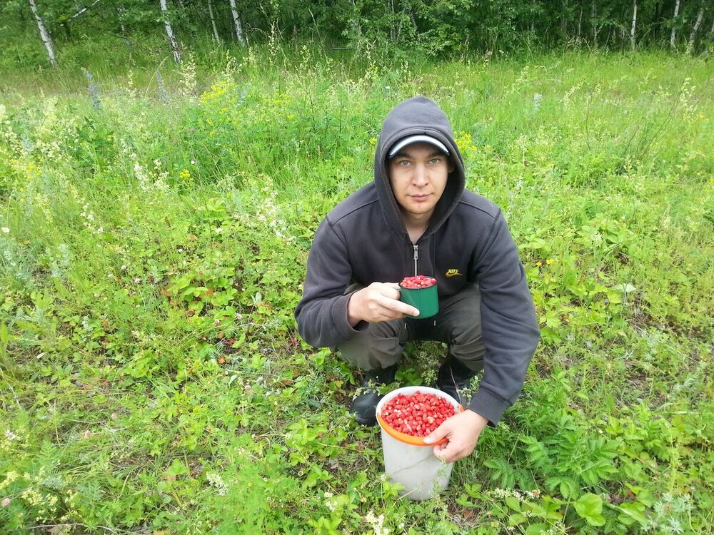 ���� 22422299 ������� ���������, 38 ���, ���� ���������� � ��������