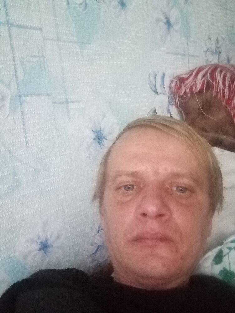  40155499  , 36 ,    