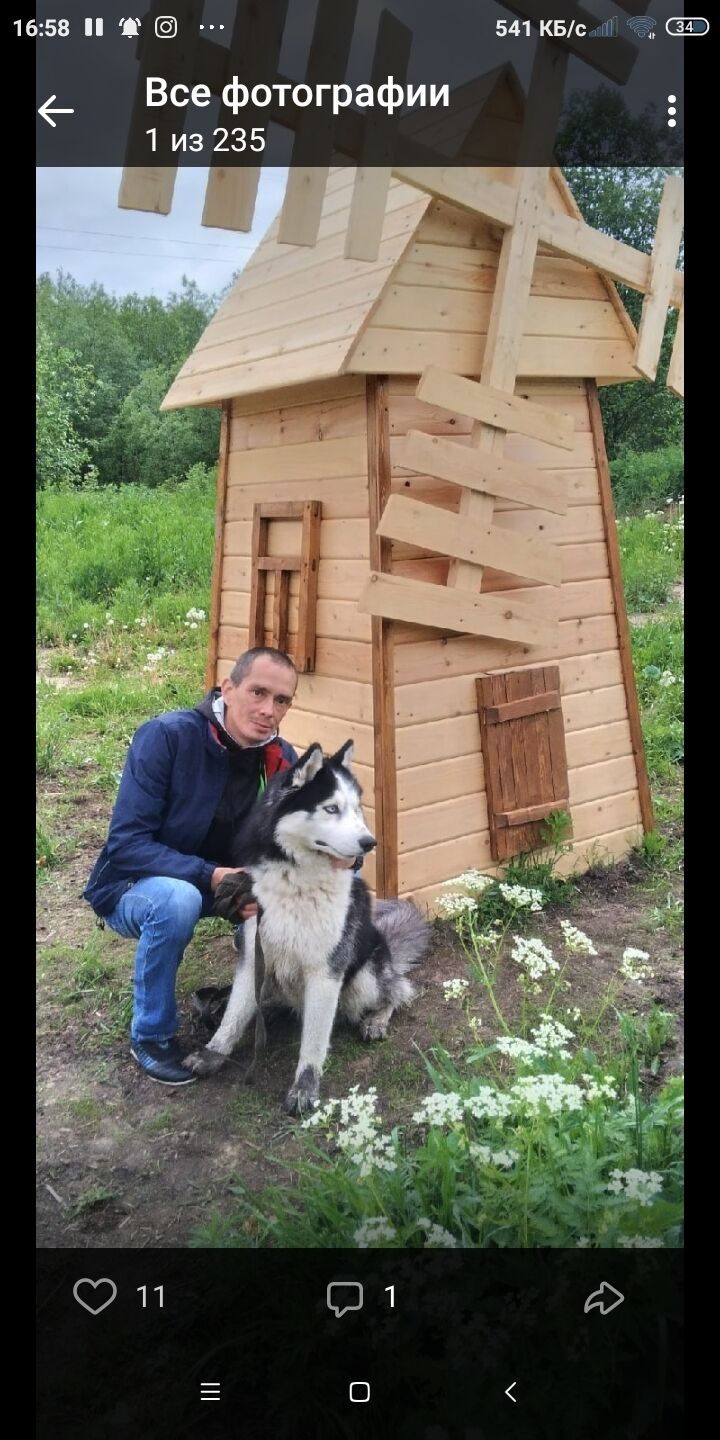 ���� 27260629 ������� ���������, 38 ���, ���� ���������� � ������������