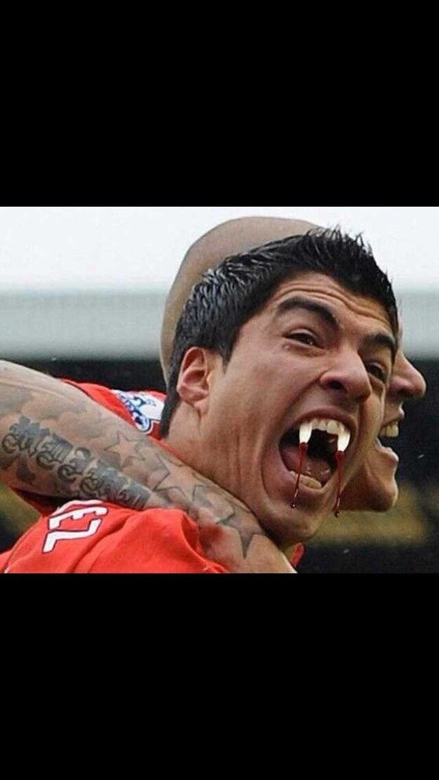 ���� 5438569 ������� Bah, 35 ���, ���� ���������� � �������