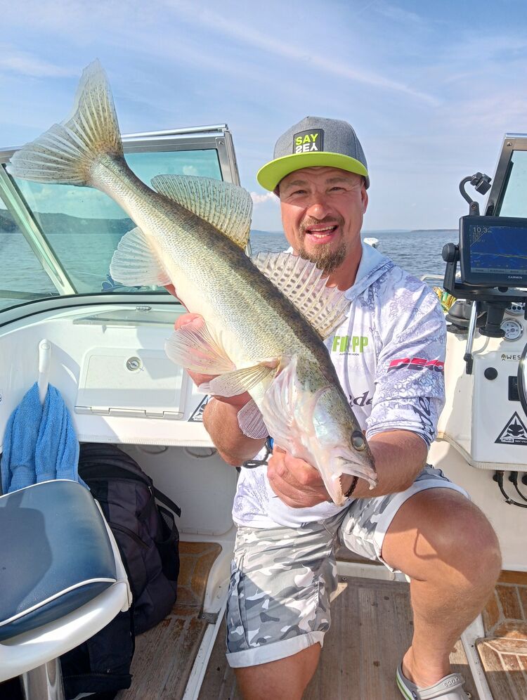 ���� 37873969 ������� �������, 47 ���, ���� ���������� � ������