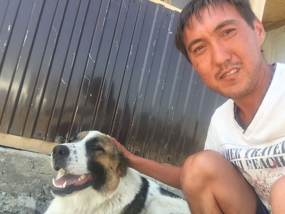 ���� 25104439 ������� �����, 33 ����, ���� ���������� � ����-������������