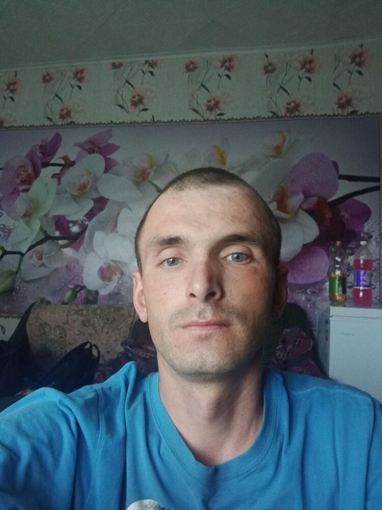  53169889  , 38 ,    