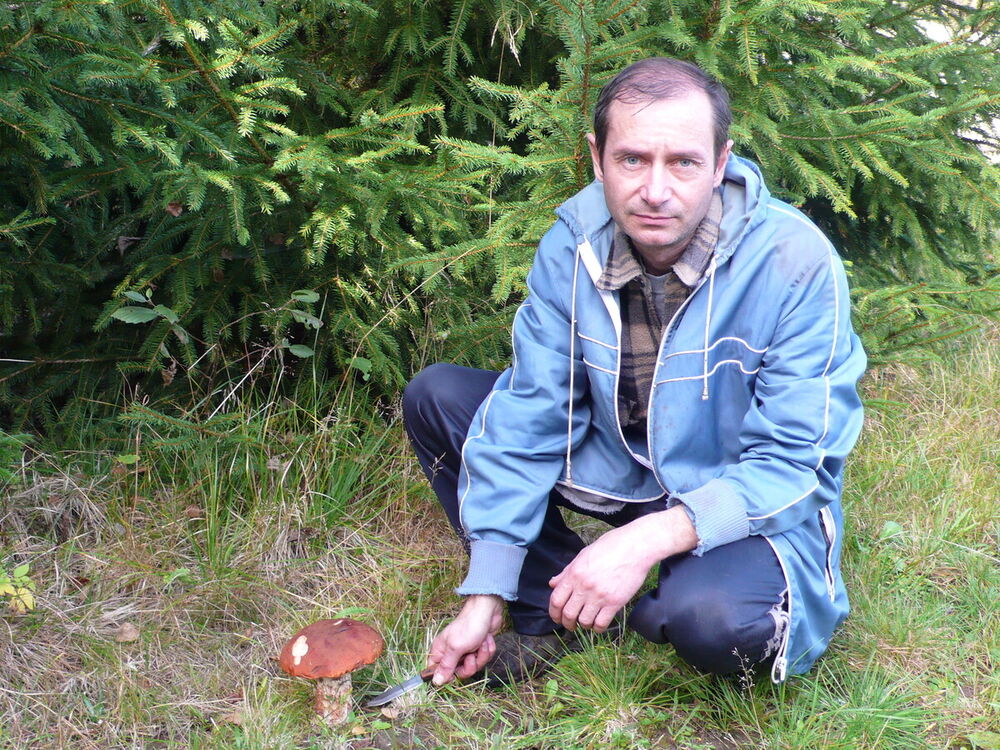  22360919  , 63 ,    -