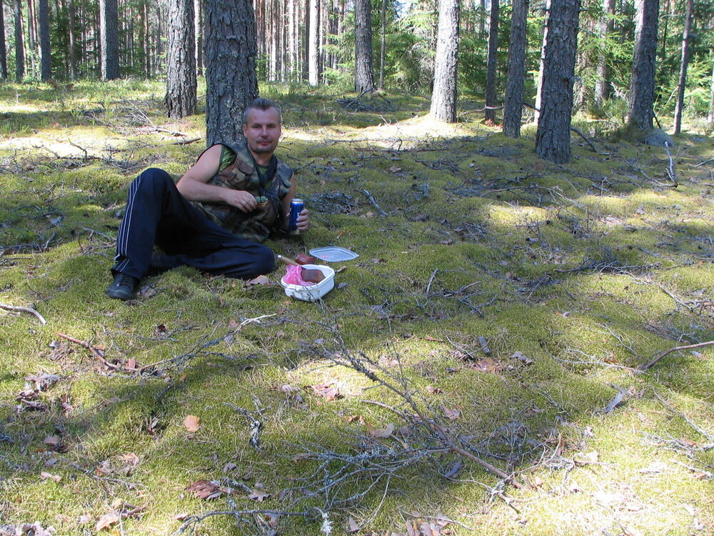  4703009  , 51 ,    -