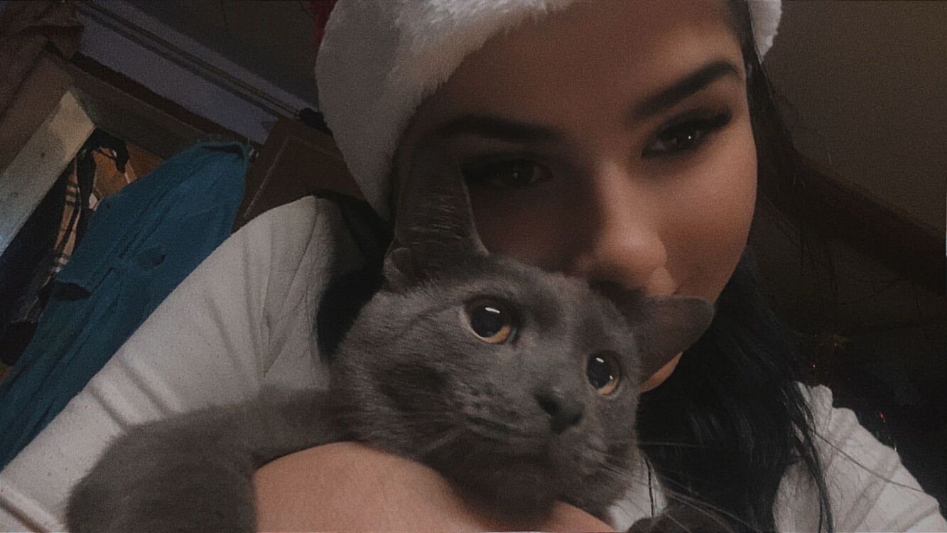 ���������� Praha, ���� ������� �����, 18 ���, ������������ ��� ������, ����� � ���������