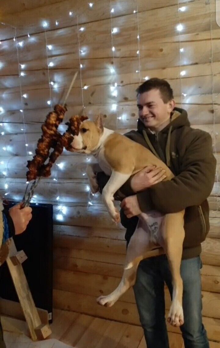 ���������� ������, ���� ������� �������, 37 ���, ������������ ��� ����� � ���������, c�������� ���������