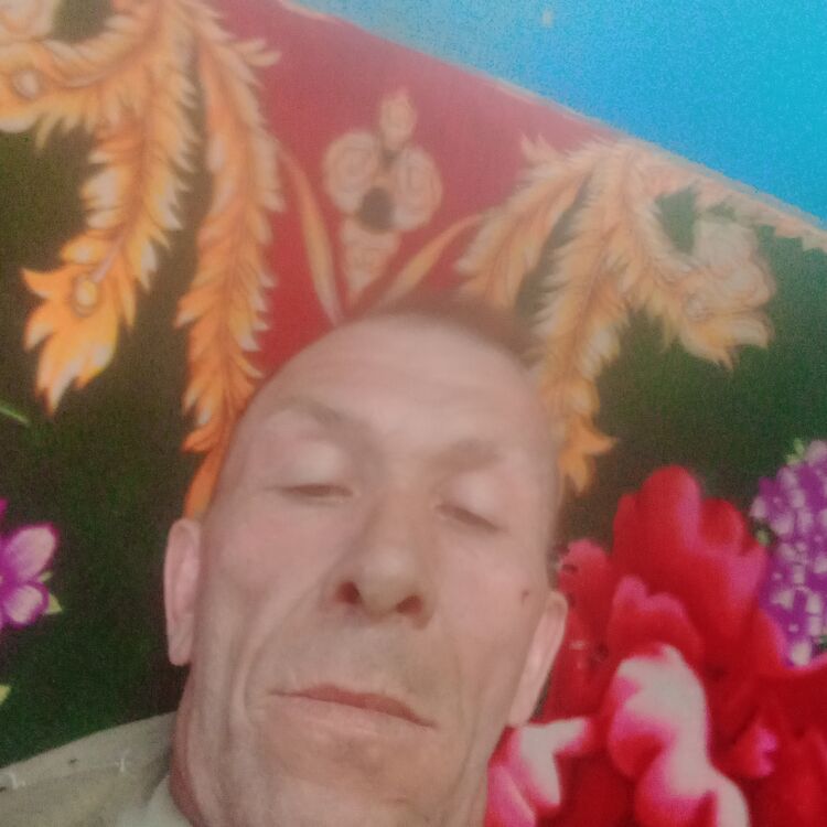 ���� 51576809 ������� ������, 45 ���, ���� ���������� � �������������