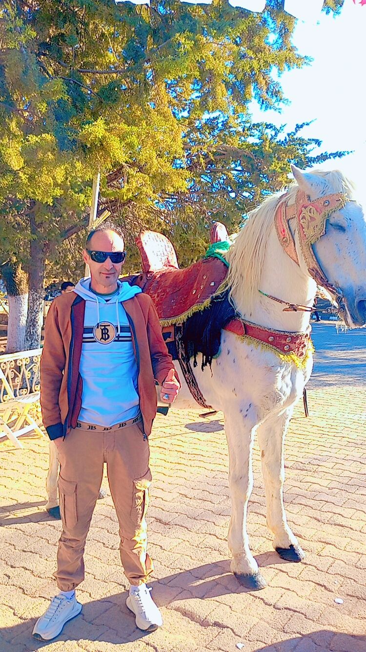  Tlemcen,   Jamel, 52 ,   ,   