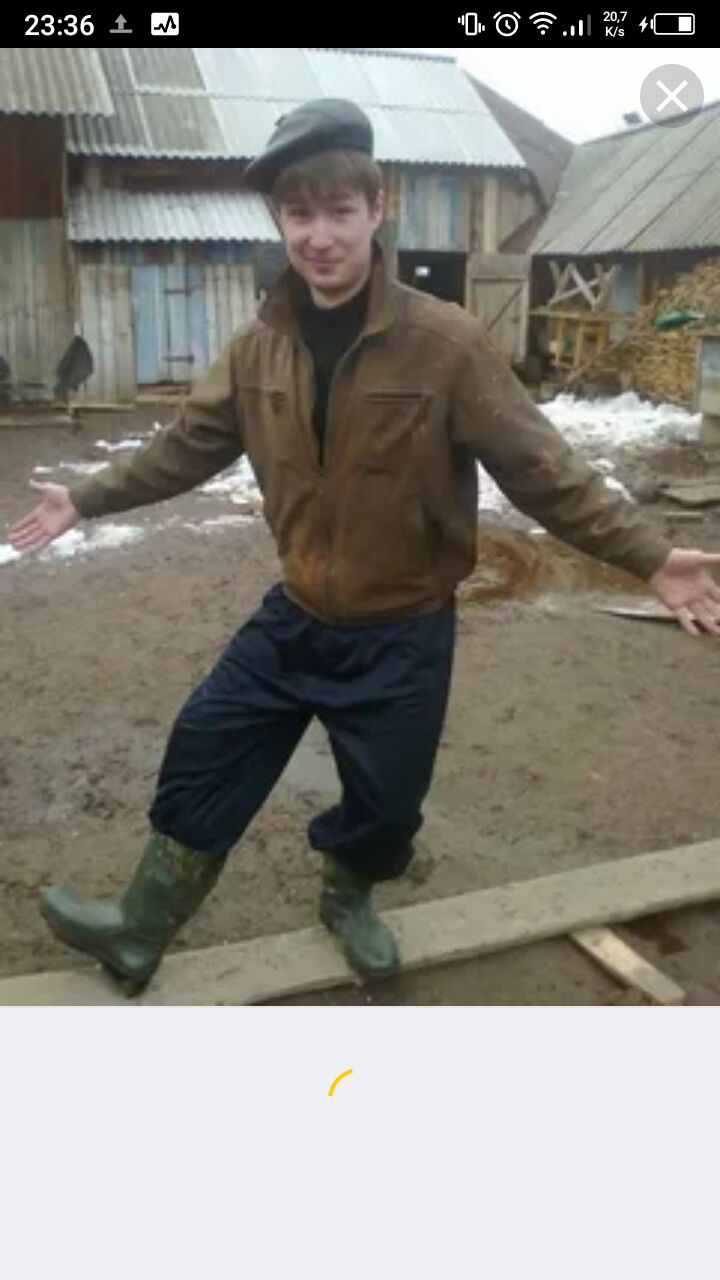  36468849  , 38 ,    