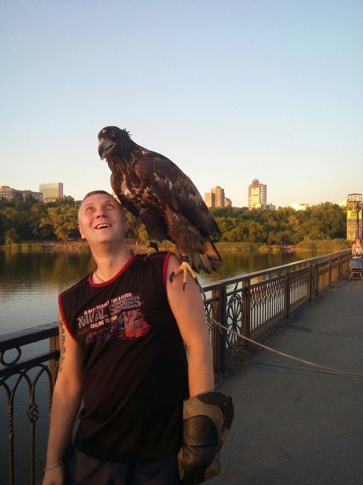 ���������� ������, ���� ������� ����, 36 ���, ������������ ��� ������, ����� � ���������, c�������� ���������