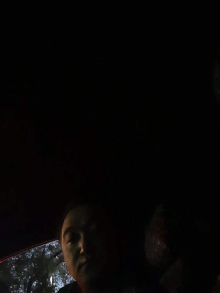  29208609  , 41 ,    
