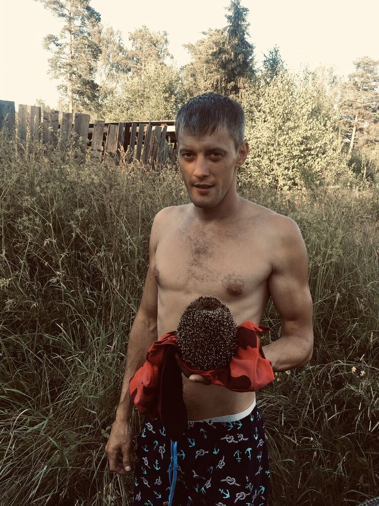 ���������� �������, ���� ������� ����, 33 ����, ������������ ��� ������, ����� � ���������, c�������� ���������