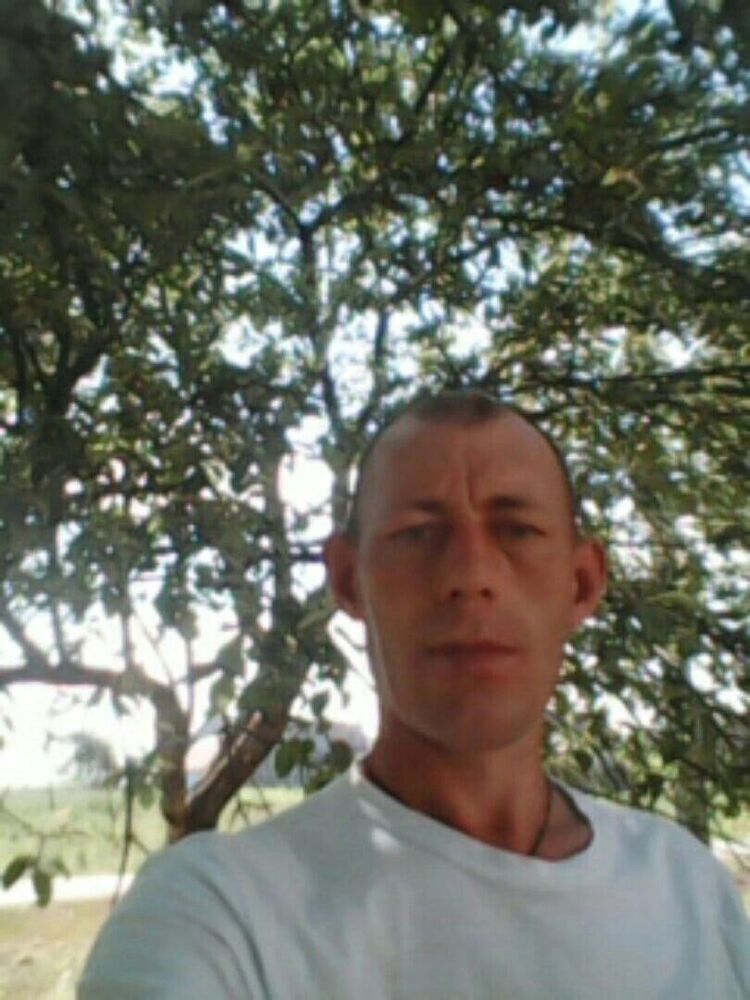  53313679  , 40 ,     