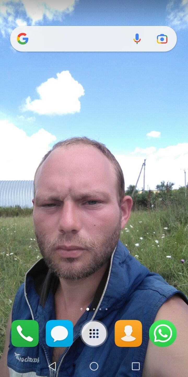  35941199  , 31 ,     