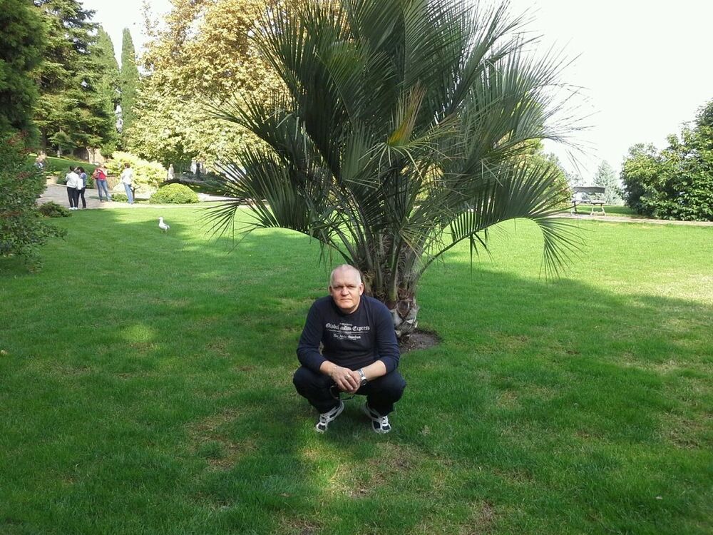  ,   , 67 ,   ,   