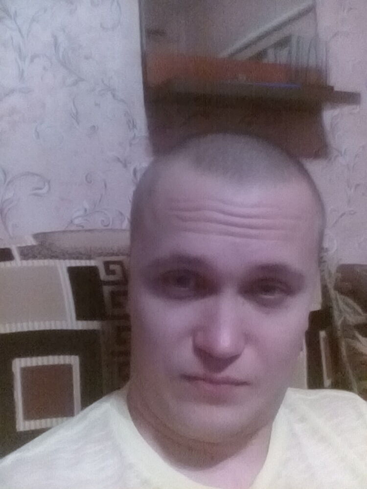  15569869  , 38 ,    
