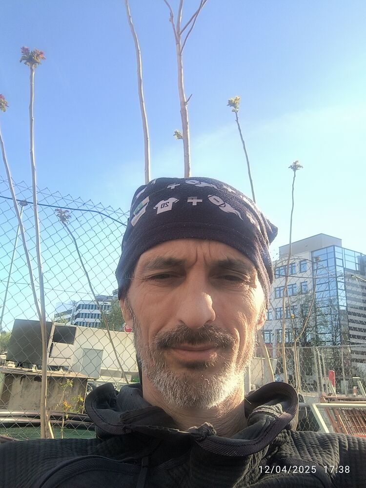  Gottingen,   Ali, 55 ,   ,   