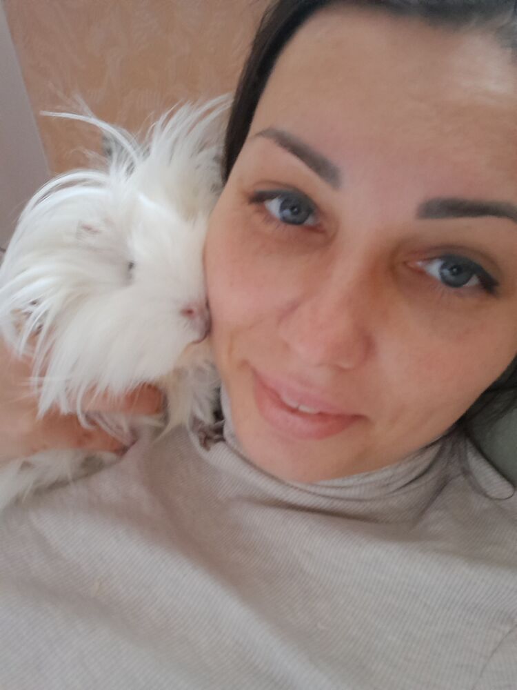 ���������� ������, ���� ������� �������, 38 ���, ������������ ��� ������, ����� � ���������