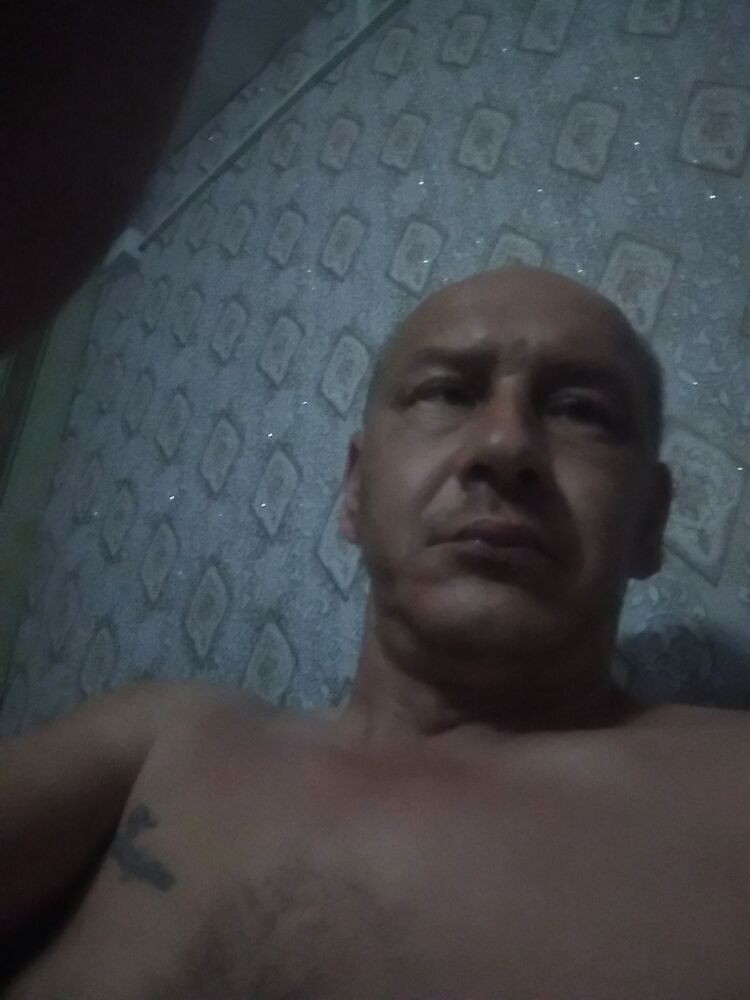  43961519  , 44 ,    