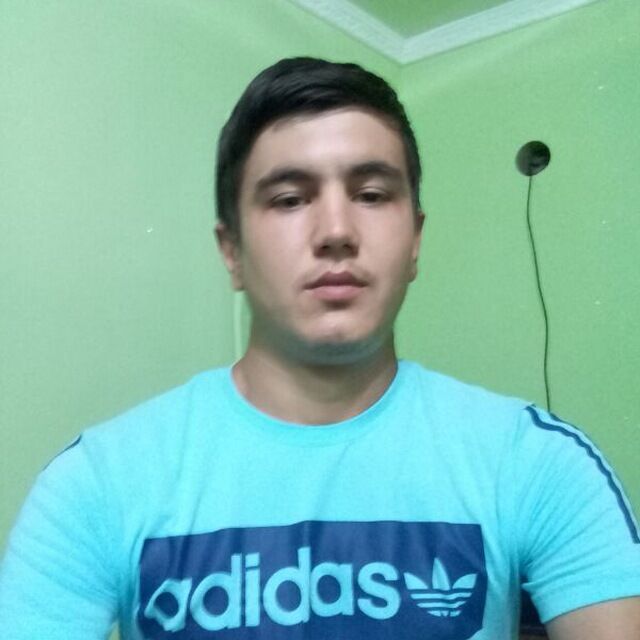  24463239  , 31 ,    