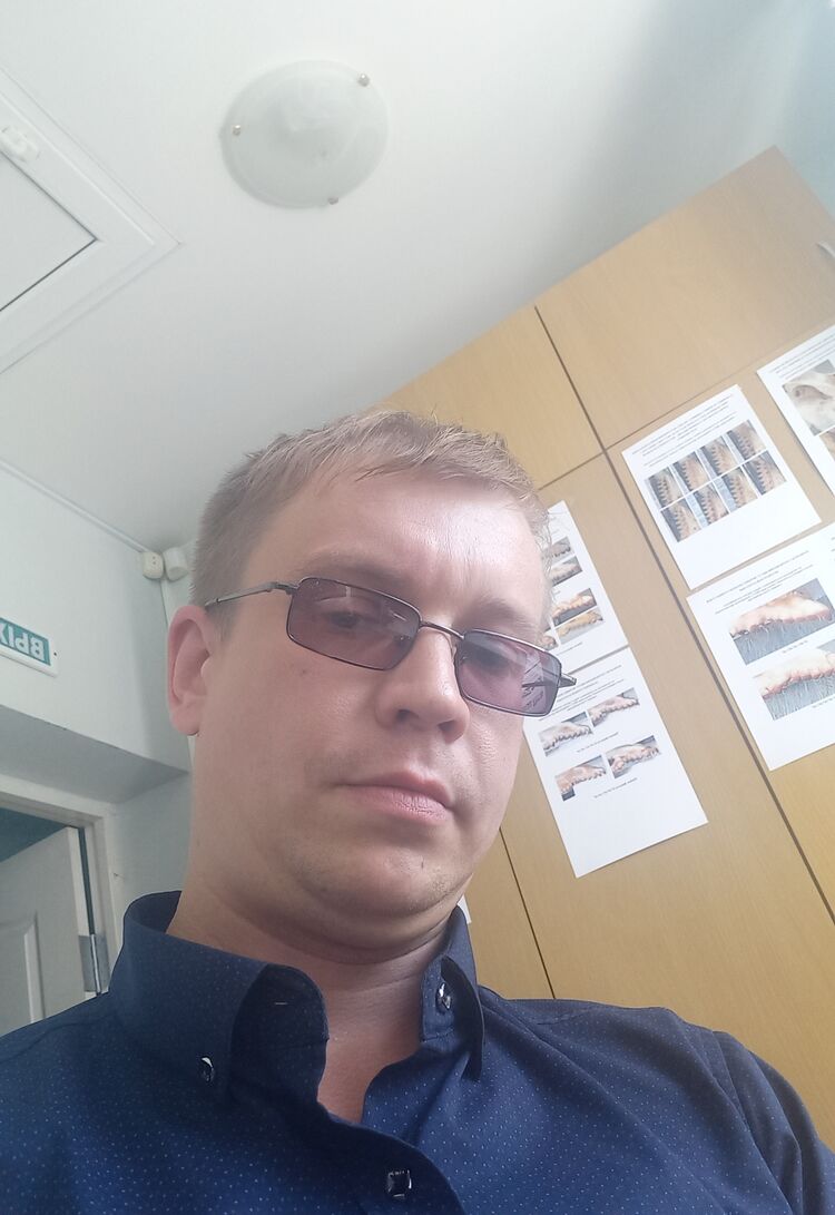 ���������� ���������, ���� ������� ���������, 38 ���, ������������ ��� ������, ����� � ���������, c�������� ���������