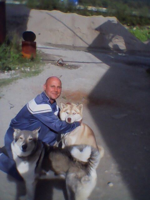  13891669  , 48 ,    -