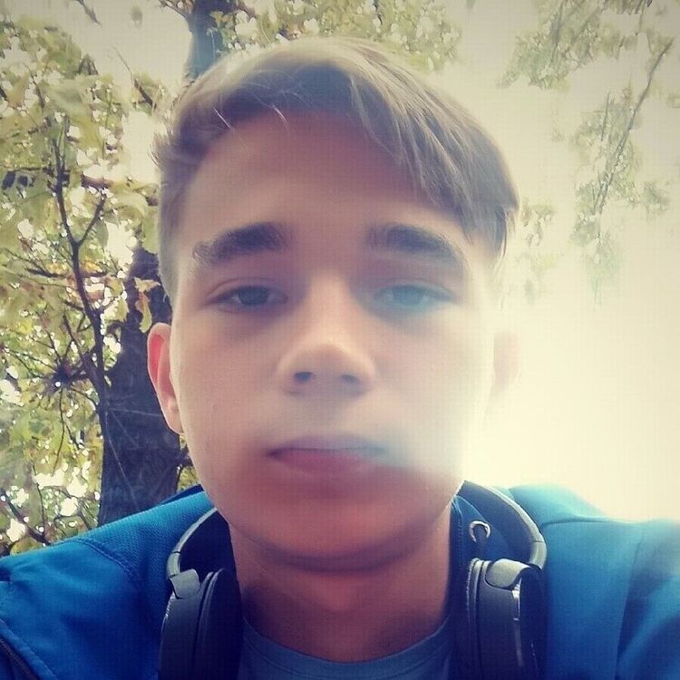  21456069  , 24 ,    