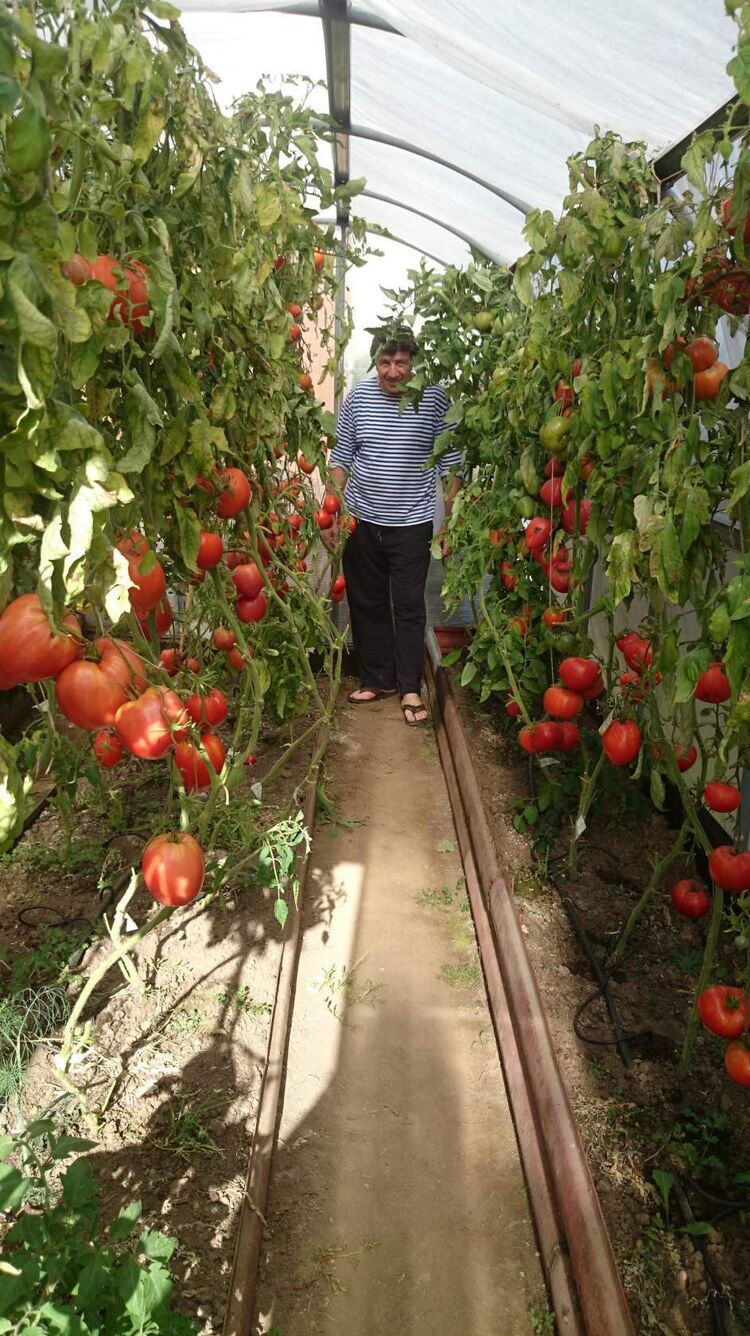 ���������� �������, ���� ������� ���������, 64 ����, ������������ ��� ����� � ���������, c�������� ���������