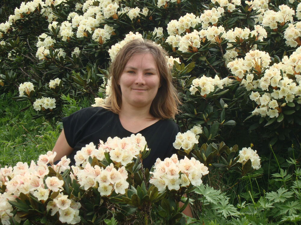 ���������� ����������, ���� ������� ���������, 33 ����, ������������ ��� ������, ����� � ���������