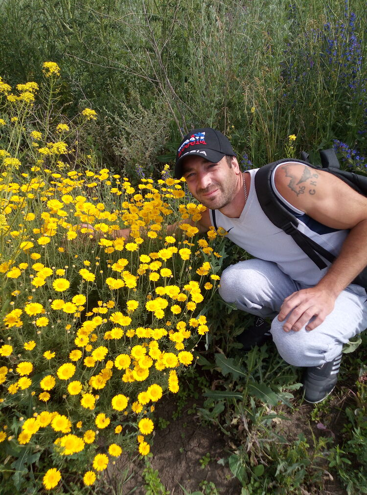 ���������� �����, ���� ������� ������, 37 ���, ������������ ��� ����� � ���������, c�������� ���������