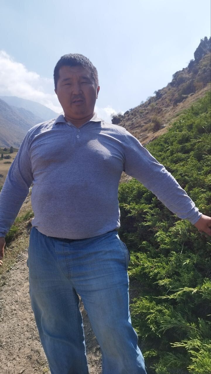 ���� 38121599 ������� ��������, 36 ���, ���� ���������� � �������