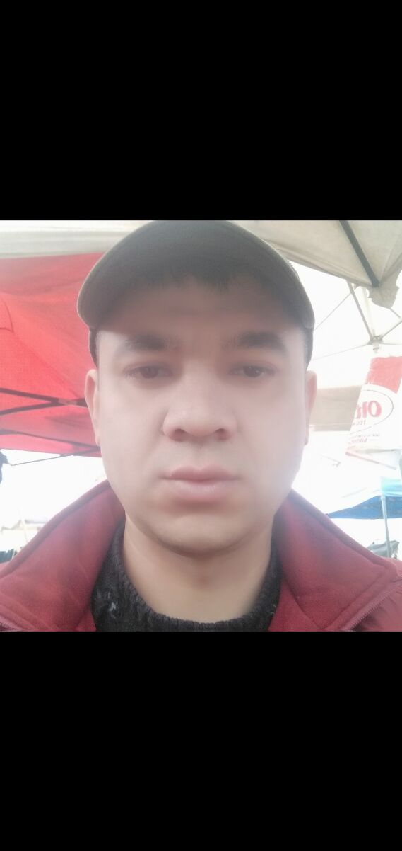 ���� 40597119 ������� �������, 40 ���, ���� ���������� � ��������