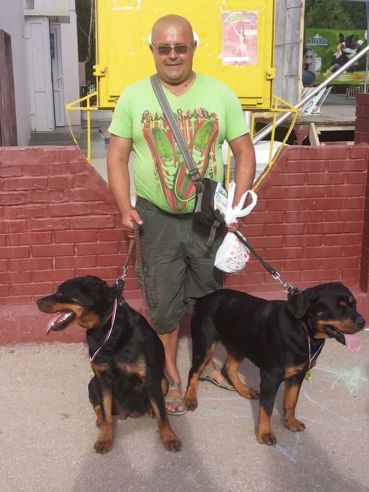 ���������� �����������, ���� ������� ������, 54 ����, ������������ 