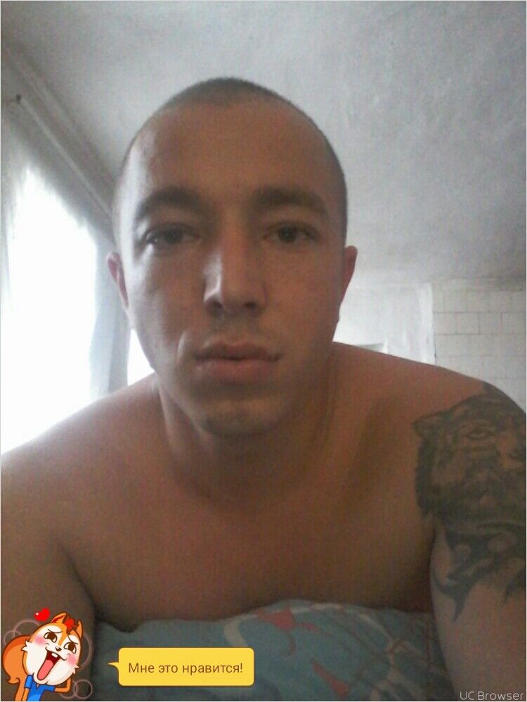  8290679  , 34 ,    