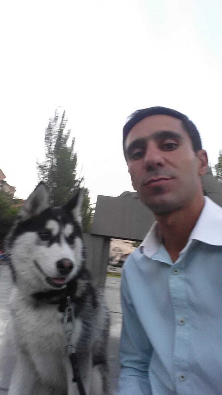 ���� 43004299 ������� Artak, 40 ���, ���� ���������� � �������