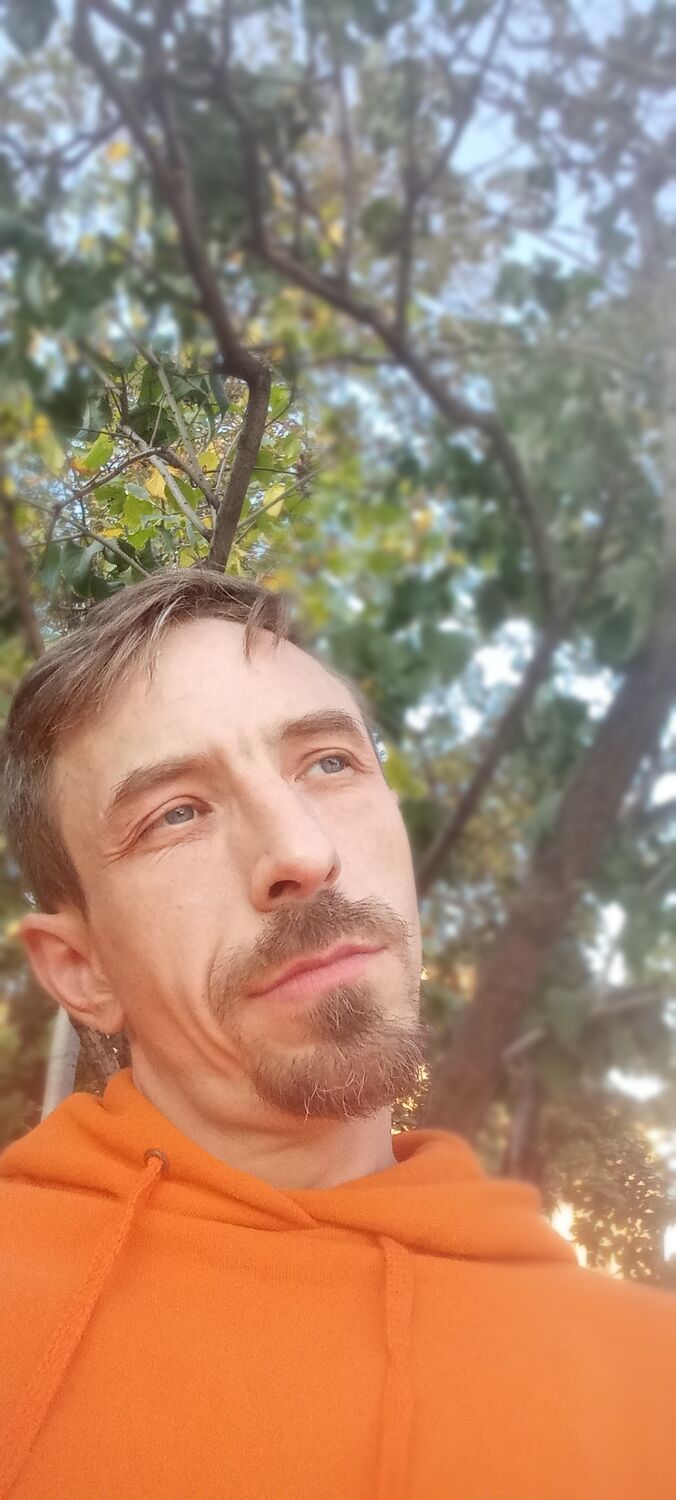 ���� 46386299 ������� �������, 38 ���, ���� ���������� � ������