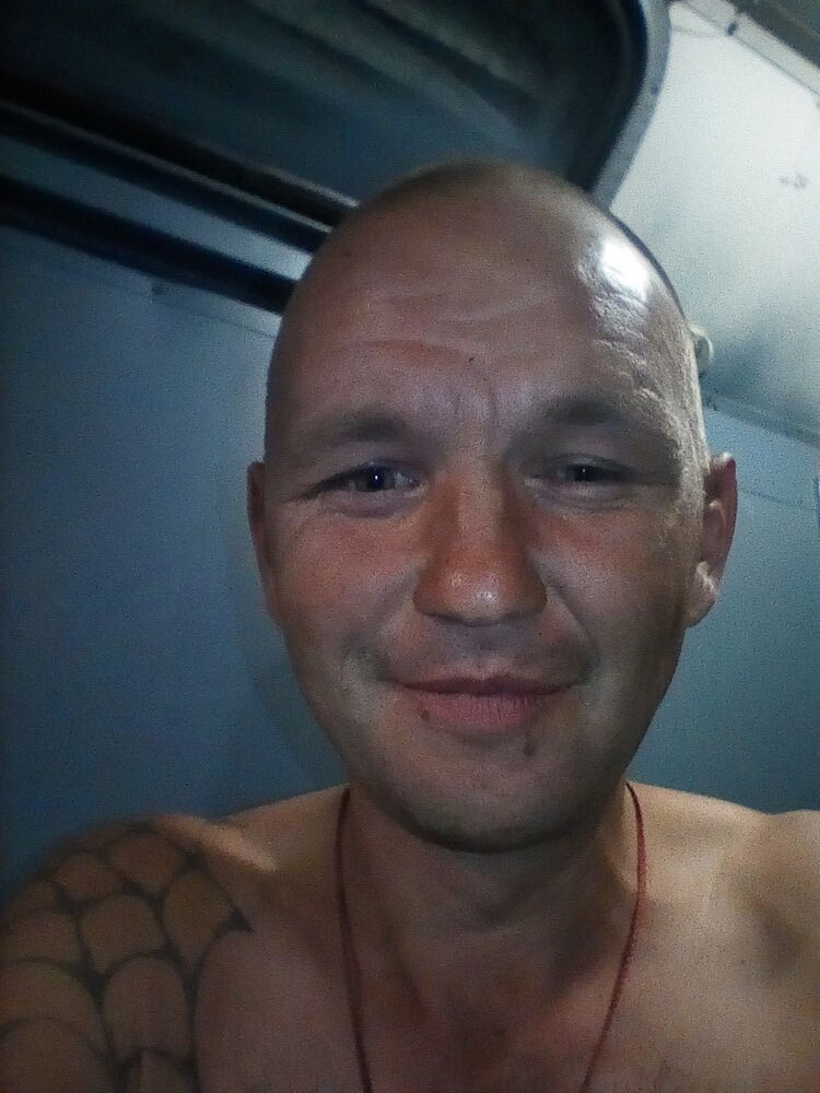 17048979  , 38 ,    