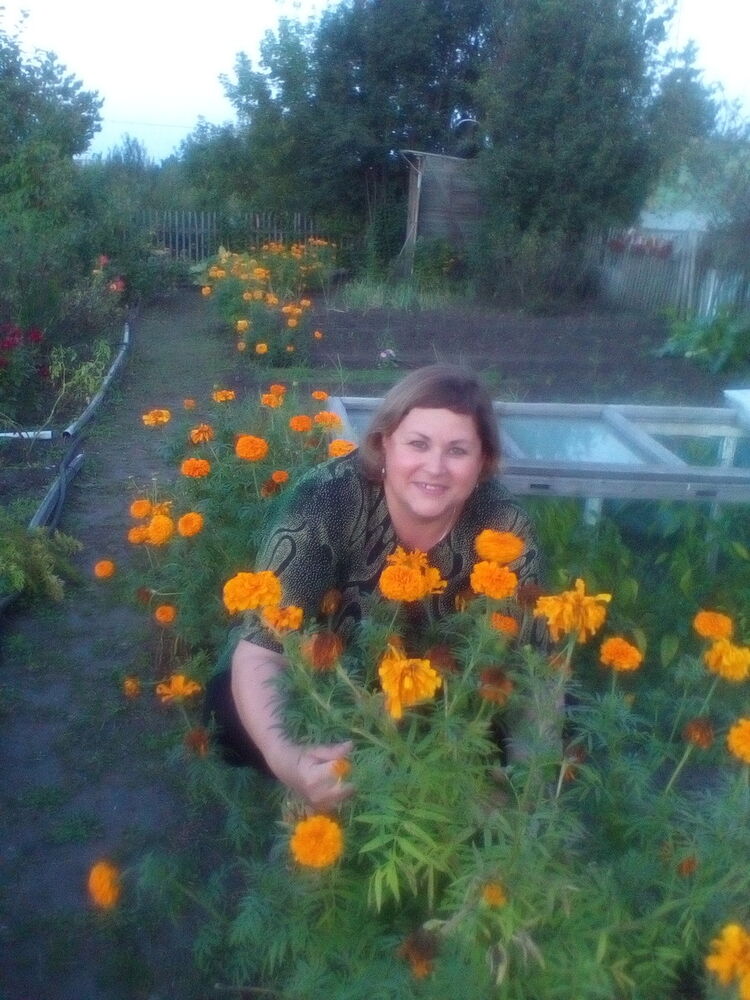  ,    , 53 ,  