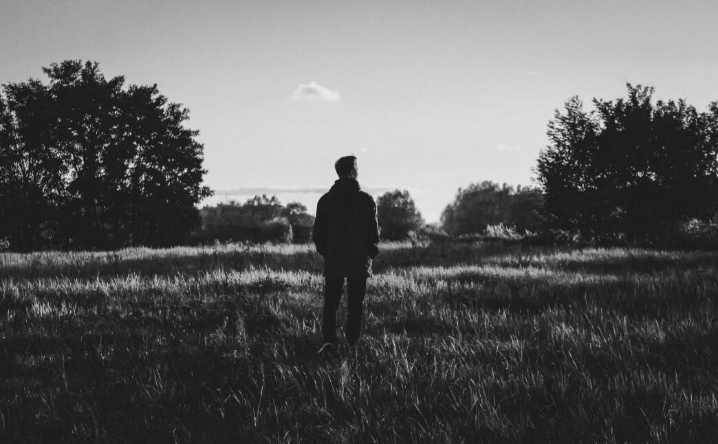  43559949  Alex, 29 ,    