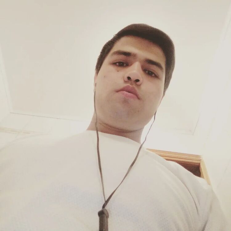  23106669  , 26 ,    