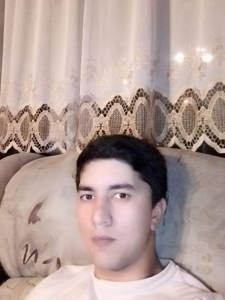  33678209  , 28 ,    