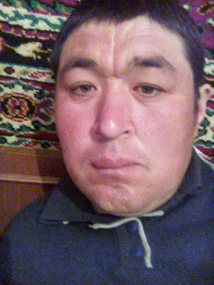  ,   Muha, 40 ,   ,   , c 