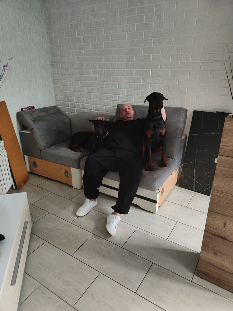 ���������� �������, ���� ������� �����, 48 ���, ������������ ��� ������, ����� � ���������, c�������� ���������